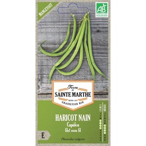 Ferme de Sainte Marthe  Haricot Nain Cupidon Filet Sans Fil Mangetout  env 325 graines
