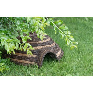 Oiseaux d'extérieur