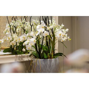 Plantes et fleurs artificielles