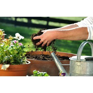 Terreaux et amendement