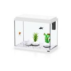   Aquarium KIT 30 Blanc 30x15x30 (10L)