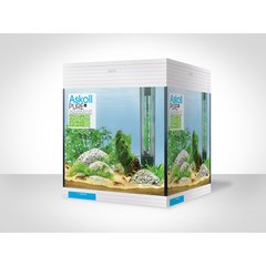   Aquarium Askoll Pure M Blanc Blanc 34x34.5x36.5cm