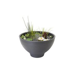   Bassin fontaine avec pompe et panier de plantation  Rond Ø 55 cm x 32 cm