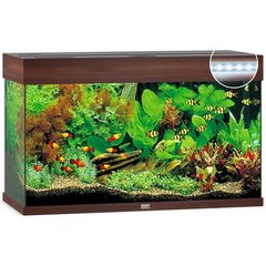 Juwel Rio Juwel Aquarium Rio 125 brun foncé LED  dim intéreiur 78x38.5x41cm