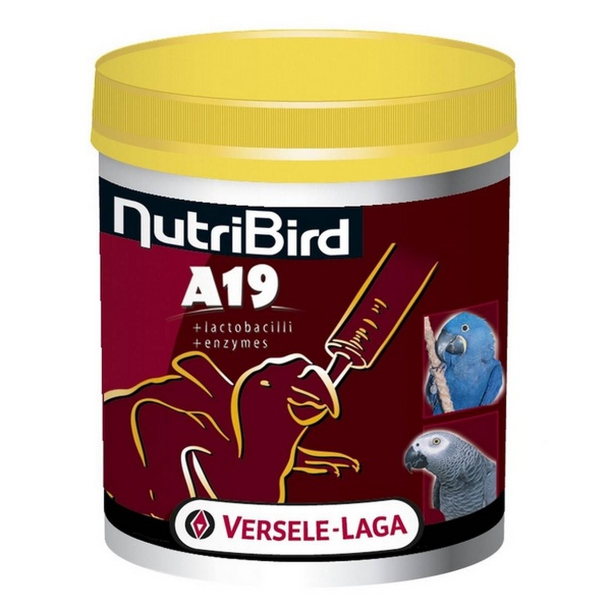   Nutribird A19 patée d'elevage 800g Sans couleur 800g