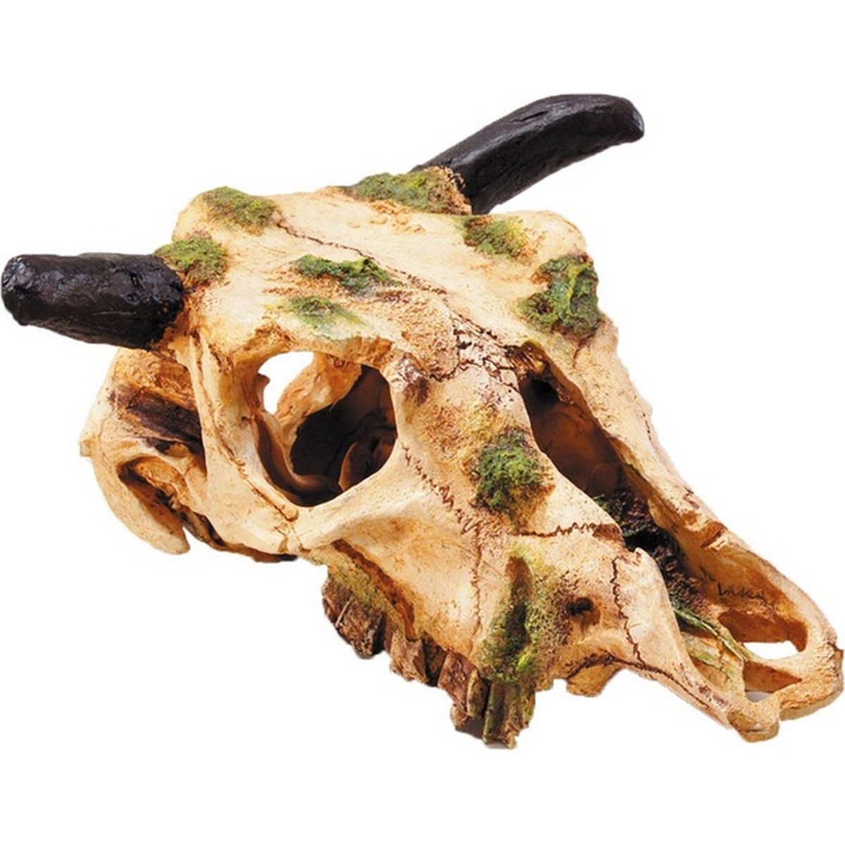   Décor crâne de boeuf ´S´ 22 cm  
