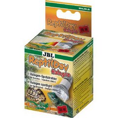   JBL ReptilDay Halogène 75 W  75w