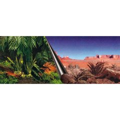   Poster fond d'aquarium Jung?. 80x40cm  80x40cm