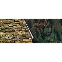   Poster fond d'aquarium Tree? 60x30cm  60x30cm