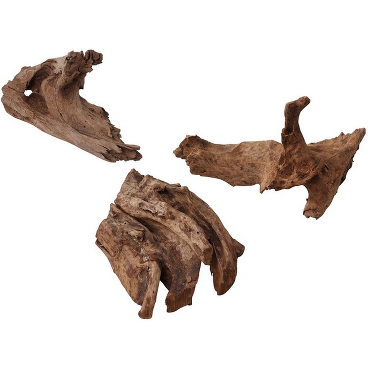   Décor bois flottant Jati ca. 300-450 mm  30/45cm