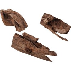   Décor bois flottant Jati ca. 450-600 mm  45/60cm