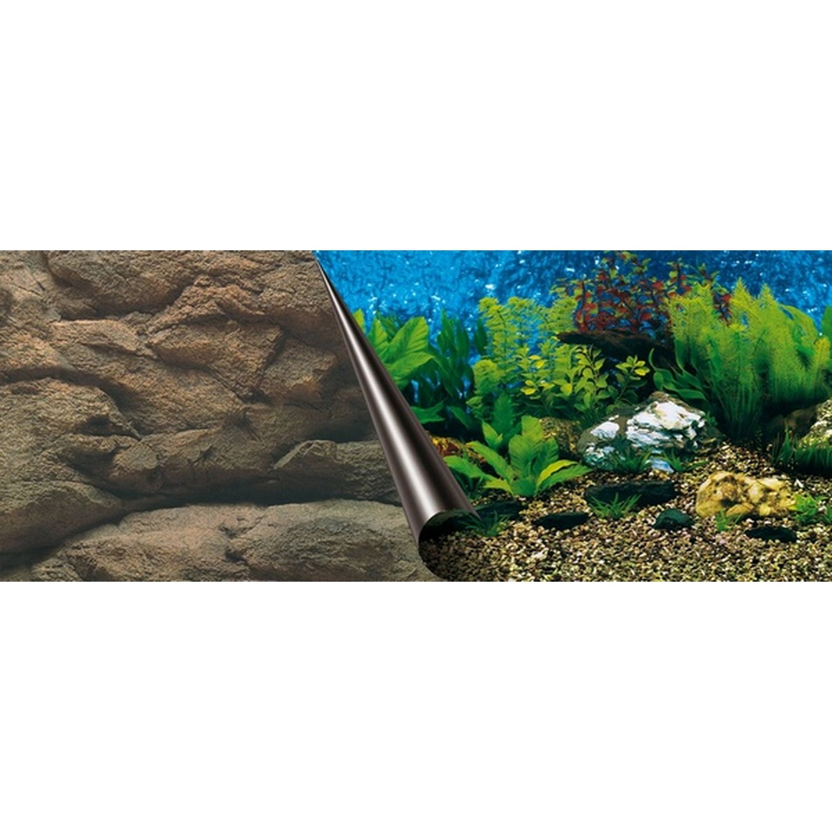   Poster fond d'aquarium Sea? 80x40cm  80x40cm