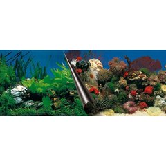   Poster fond d'aquarium Stone? 80x40cm  80x40cm