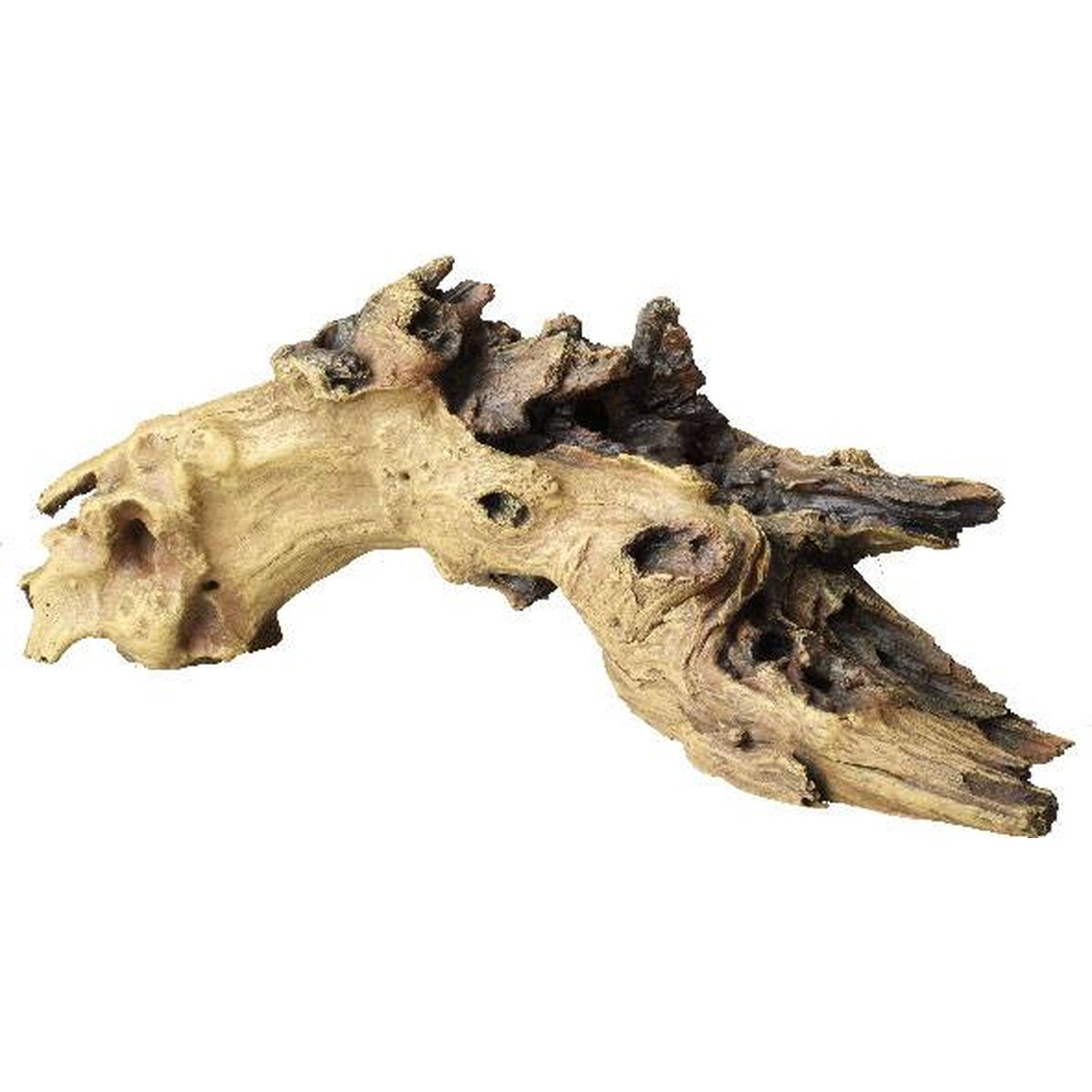   Décor Aqua Della Mopani Wood 6  55.4x19x20.6cm