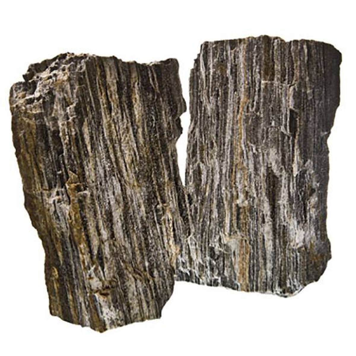   Glimmer Wood Rock  