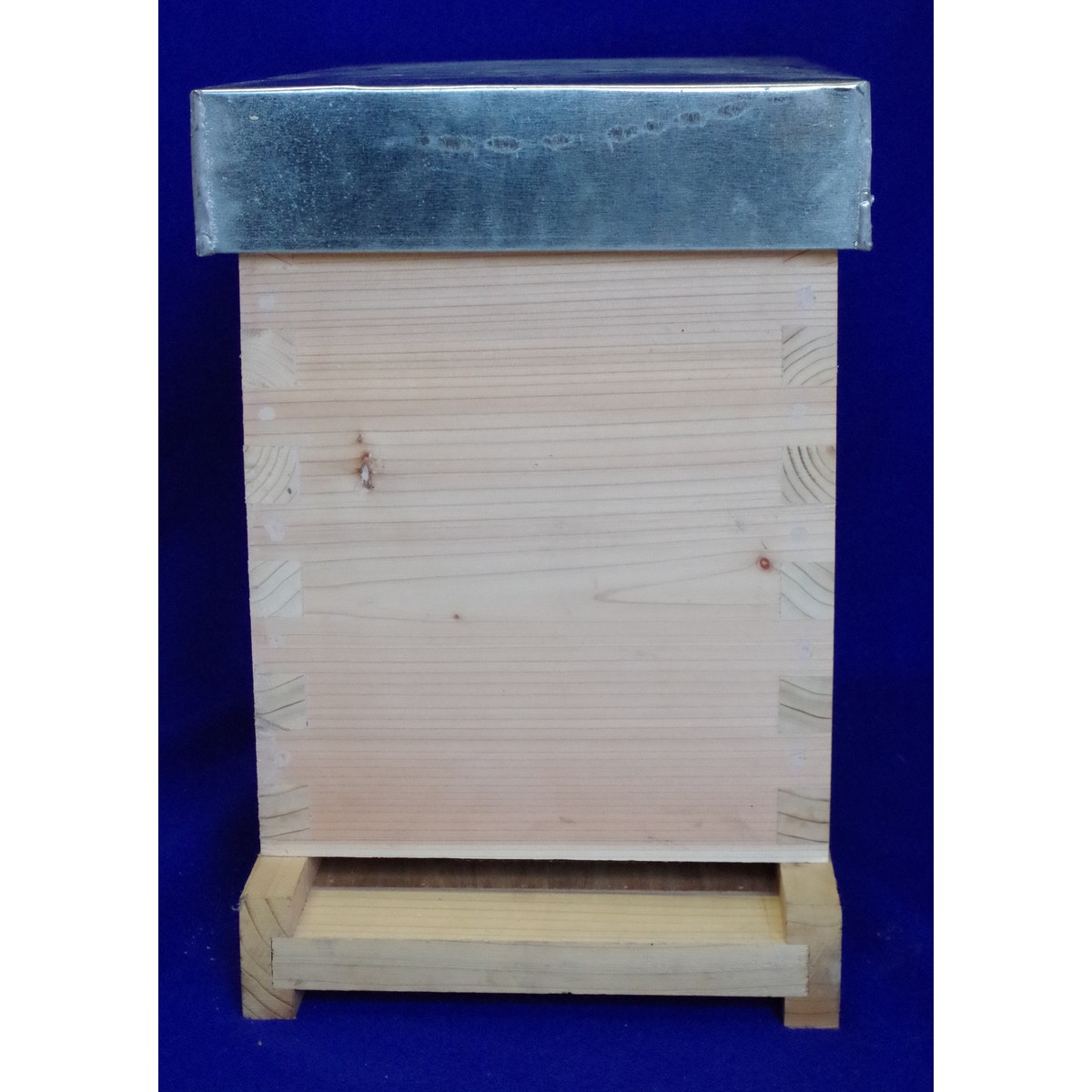   Ruchette hirondelle ss hausse  