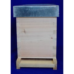   Ruchette hirondelle ss hausse  