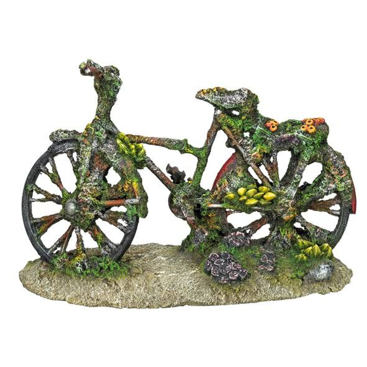   Décor Aqua Vélo avec coraux  