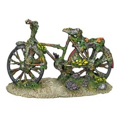   Décor Aqua Vélo avec coraux  
