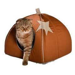 Bobby star COTTAGE STAR TS Brun fauve S