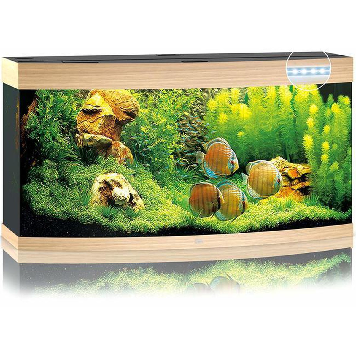 Juwel Vision Juwel Aquarium Vision  260 LED, chêne clair  