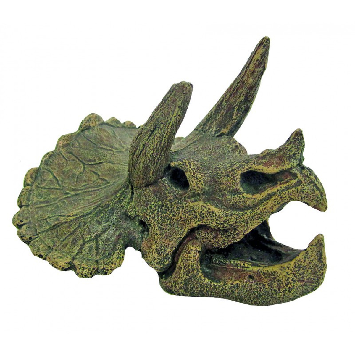   Décoration pour Aquarium  crâne Triceratops  