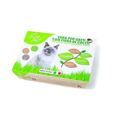   Herbe à chat avec fibre de coco bio  