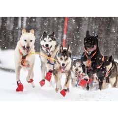 Non-Stop dogwear Longdistance Bottines Longdistance Booties XXXS par 4  4.5x7cm