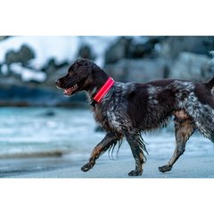 Non-Stop dogwear  Collier Active T50 Rouge vif T50