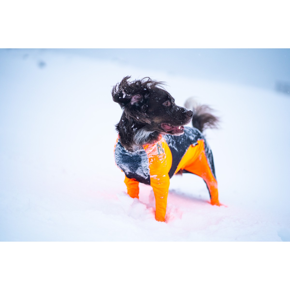 Non-Stop dogwear Protector snow Combinaison Protector Snow, Femelle S Orange S