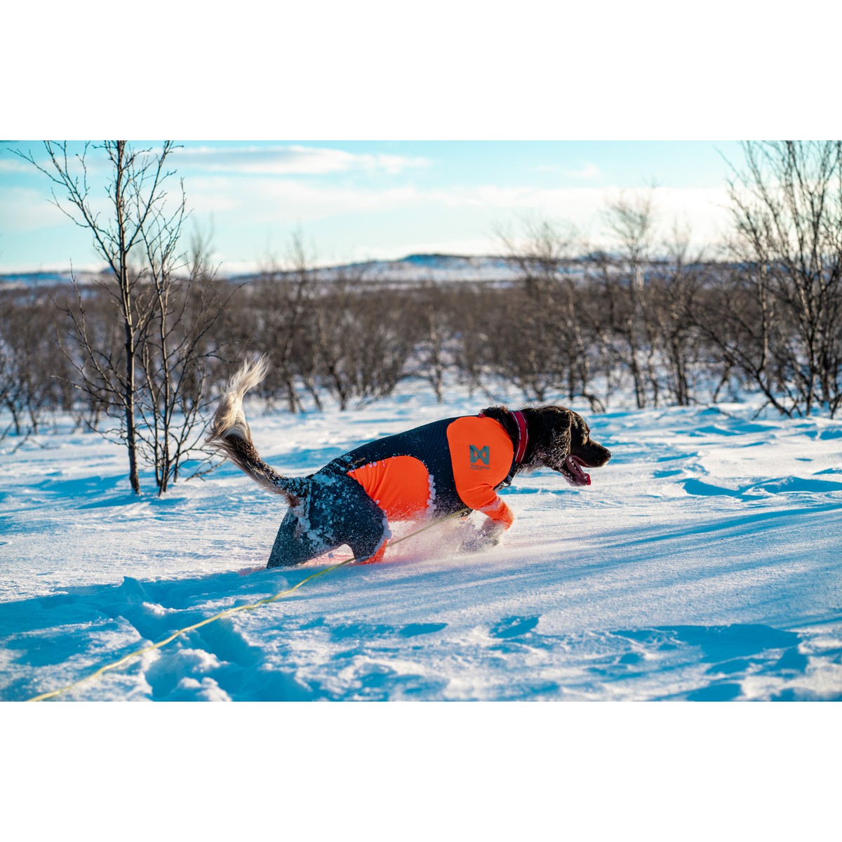 Non-Stop dogwear Protector snow Combinaison Protector Snow, Male XXS Orange XXS
