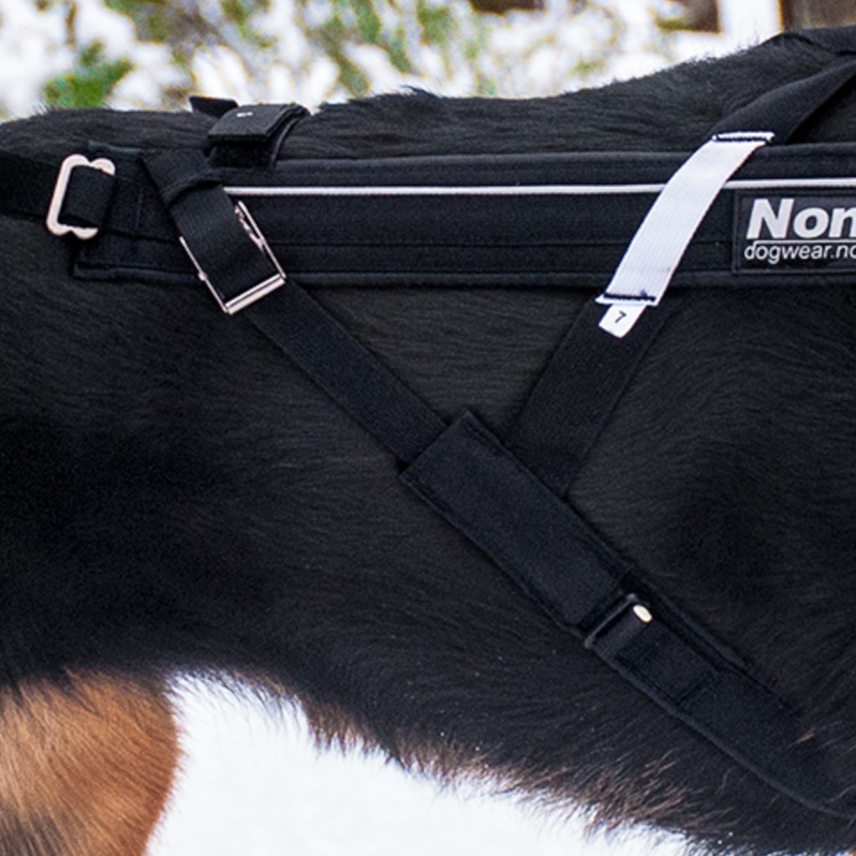 Non-Stop dogwear  Sangles de rechange pour harnais Freemotion et Combined  2,5cm