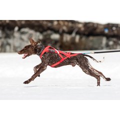 Non-Stop dogwear Combined Harnais Combined T9 Rouge vif T9