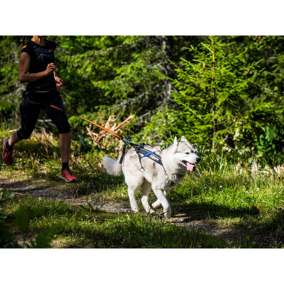 Non-Stop dogwear Freemotion Harnais Freemotion T4 Noir T4