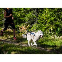 Non-Stop dogwear Freemotion Harnais Freemotion T4 Noir T4