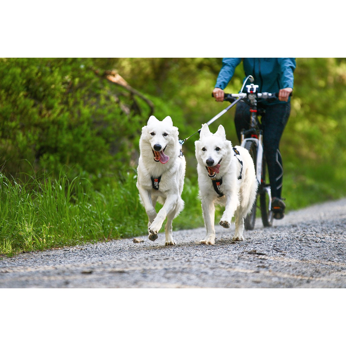 Non-Stop dogwear Freemotion Harnais Freemotion T4 Noir T4
