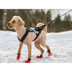 Non-Stop dogwear Freemotion Harnais Freemotion T4 Noir T4