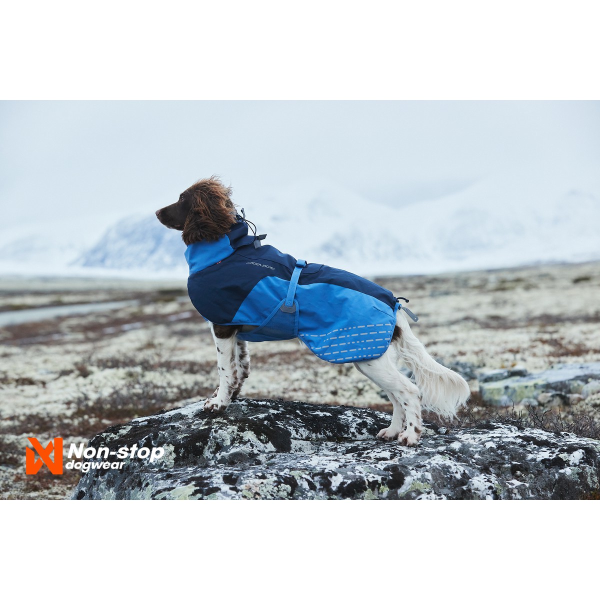 Non-Stop dogwear Glacier Manteau Glacier Jacket T30 Bleu azur foncé T30