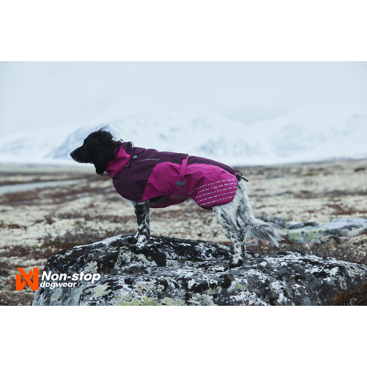 Non-Stop dogwear Glacier Manteau Glacier Jacket T55 Violet T55