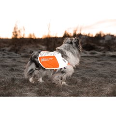Non-Stop dogwear Reflective Veste Reflective S Orange S