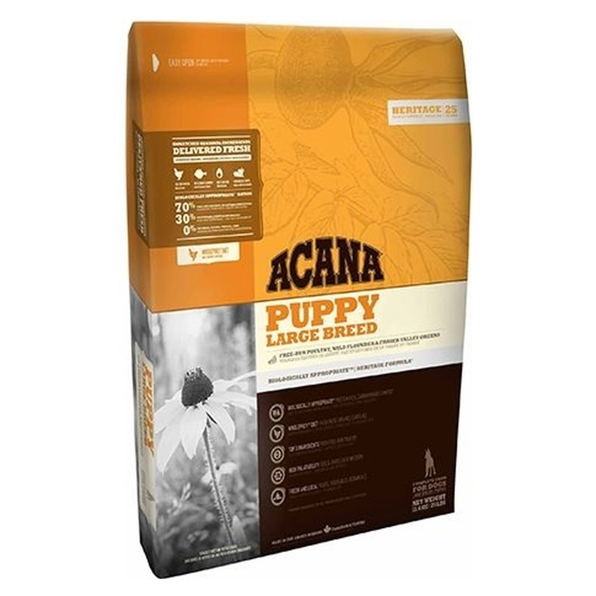 Acana  Acana Dog PUPPY LARGE BREED 11,4Kg Sans couleur 11.4kg