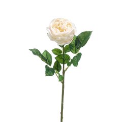 Schilliger Sélection  Rose Jenny en branche artificielle RT Blanc crème 60cm