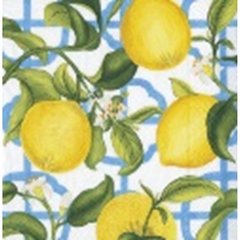 Caspari  Serviettes Cocktail Seville Blanc ivoire 25x25cm