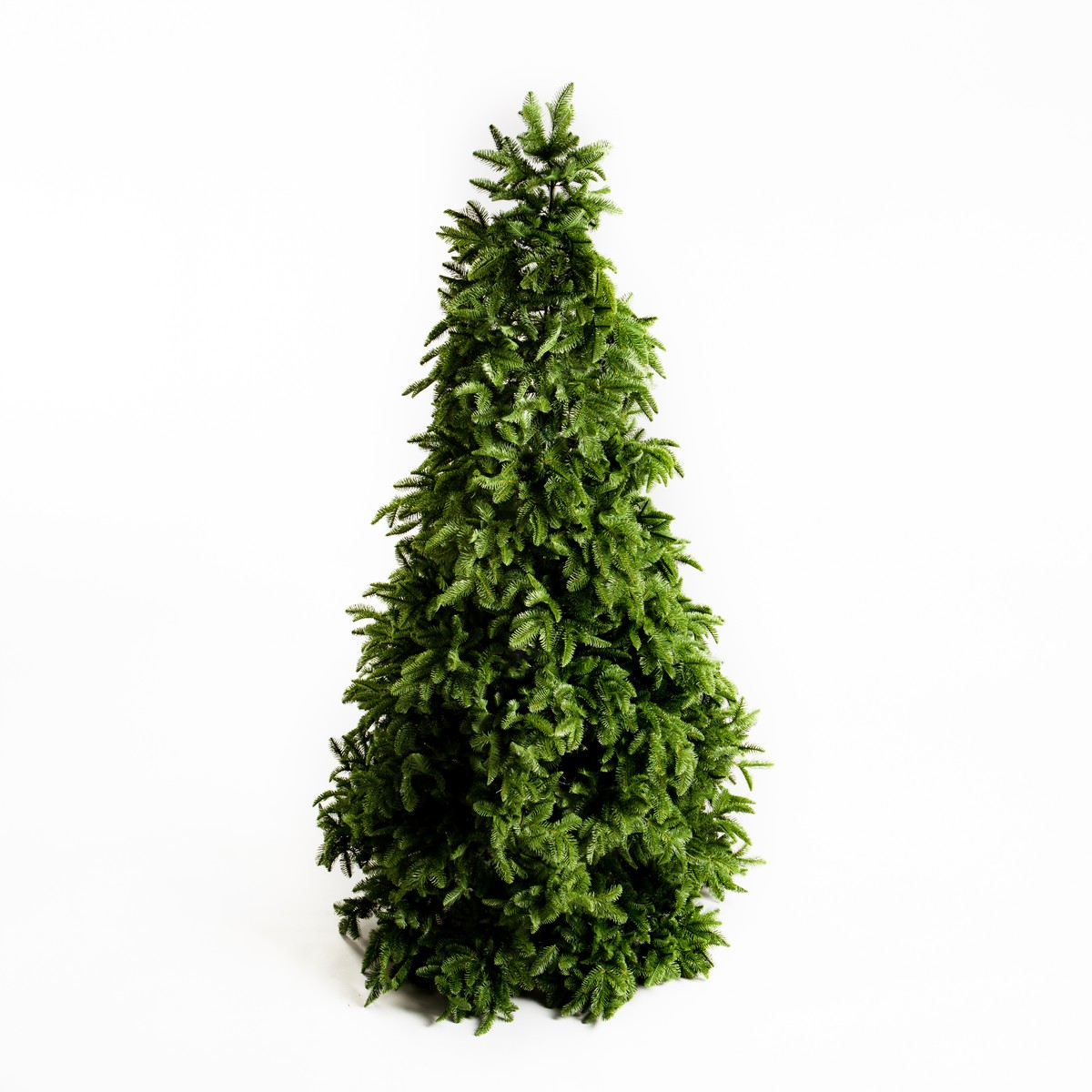 Schilliger Design Zermatt Sapin de Noël Zermatt vert  Ø155cm x H240cm