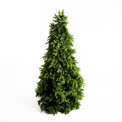 Schilliger Design Zermatt Sapin de Noël Zermatt vert  Ø155cm x H240cm