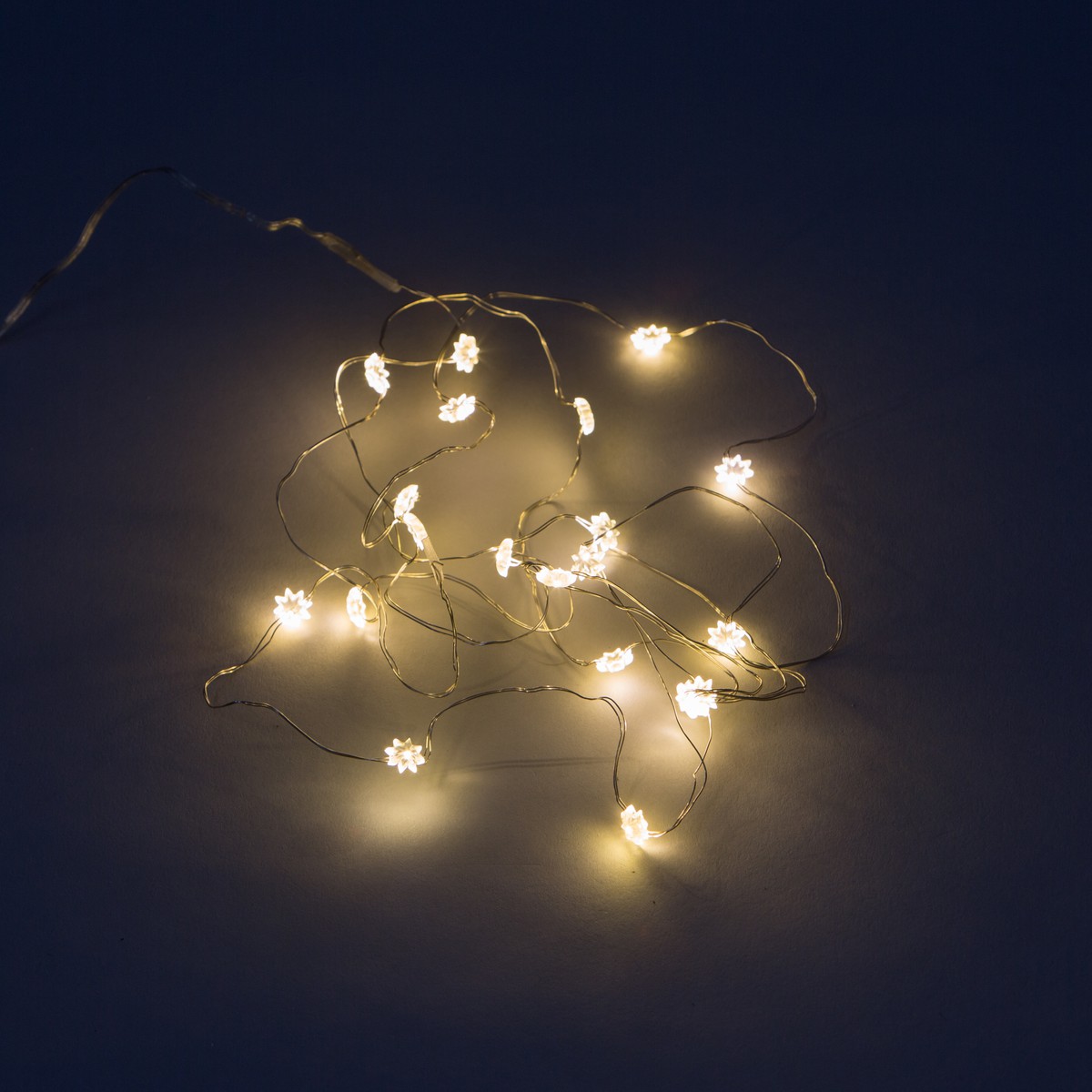   Guirlande Int. LED mini Fleurs à piles 20L  200cm