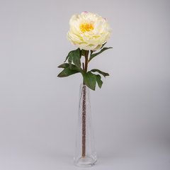   Pivoine en fleur Blanc 50cm