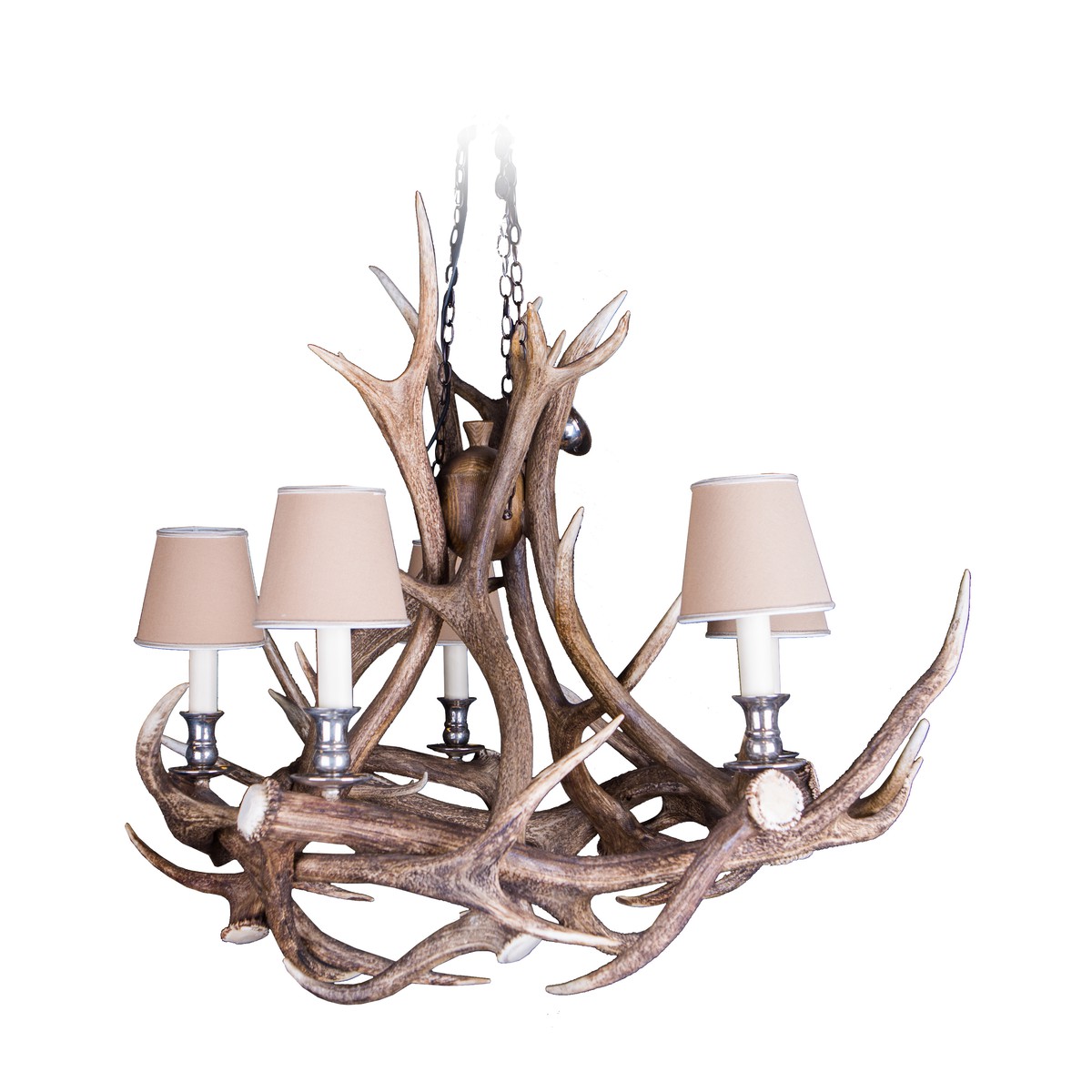   Lustre 5 bras  sans