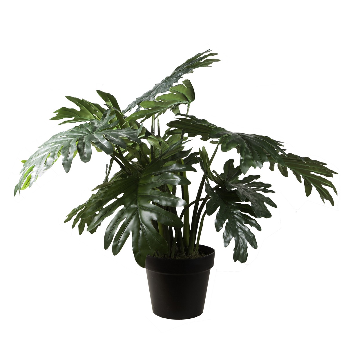   Philodendron selloum artificiel  65cm