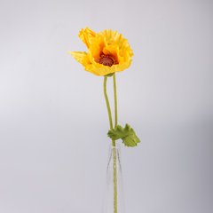   Pavot en fleur Jaune nankin 65cm